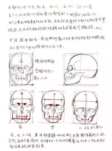 人体结构绘画:透视,比例,骨骼,肌肉,五官